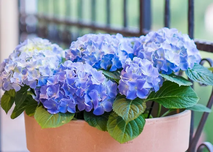 Luksuzne Sobe Luce 4* 비르브닉